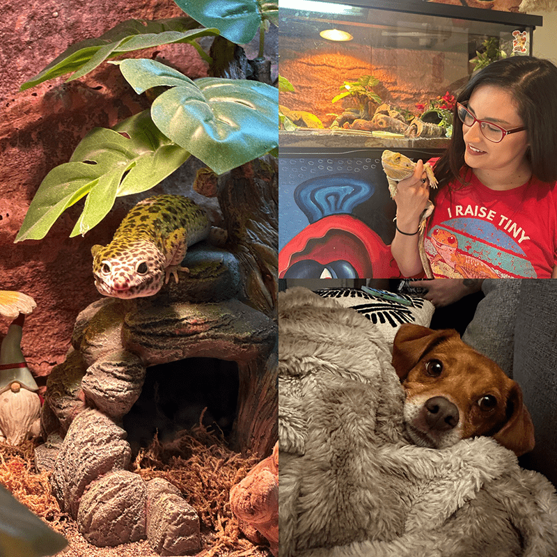 Tiffany Rankin shows off her dog and two bearded dragons