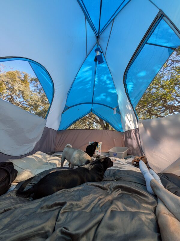 Daniel’s camping tent with his animals
